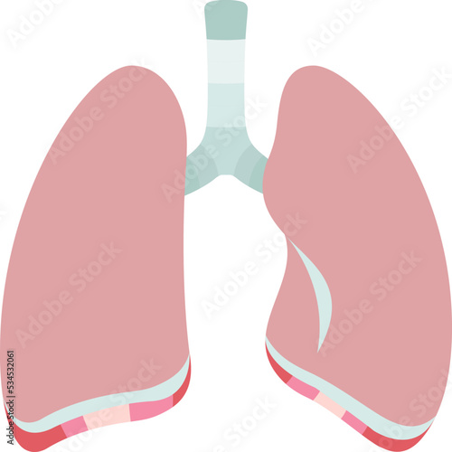 Lungs icon