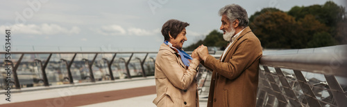 Φωτογραφία side view of happy senior woman holding hands with bearded and cheerful husband near bridge guard rail, banner