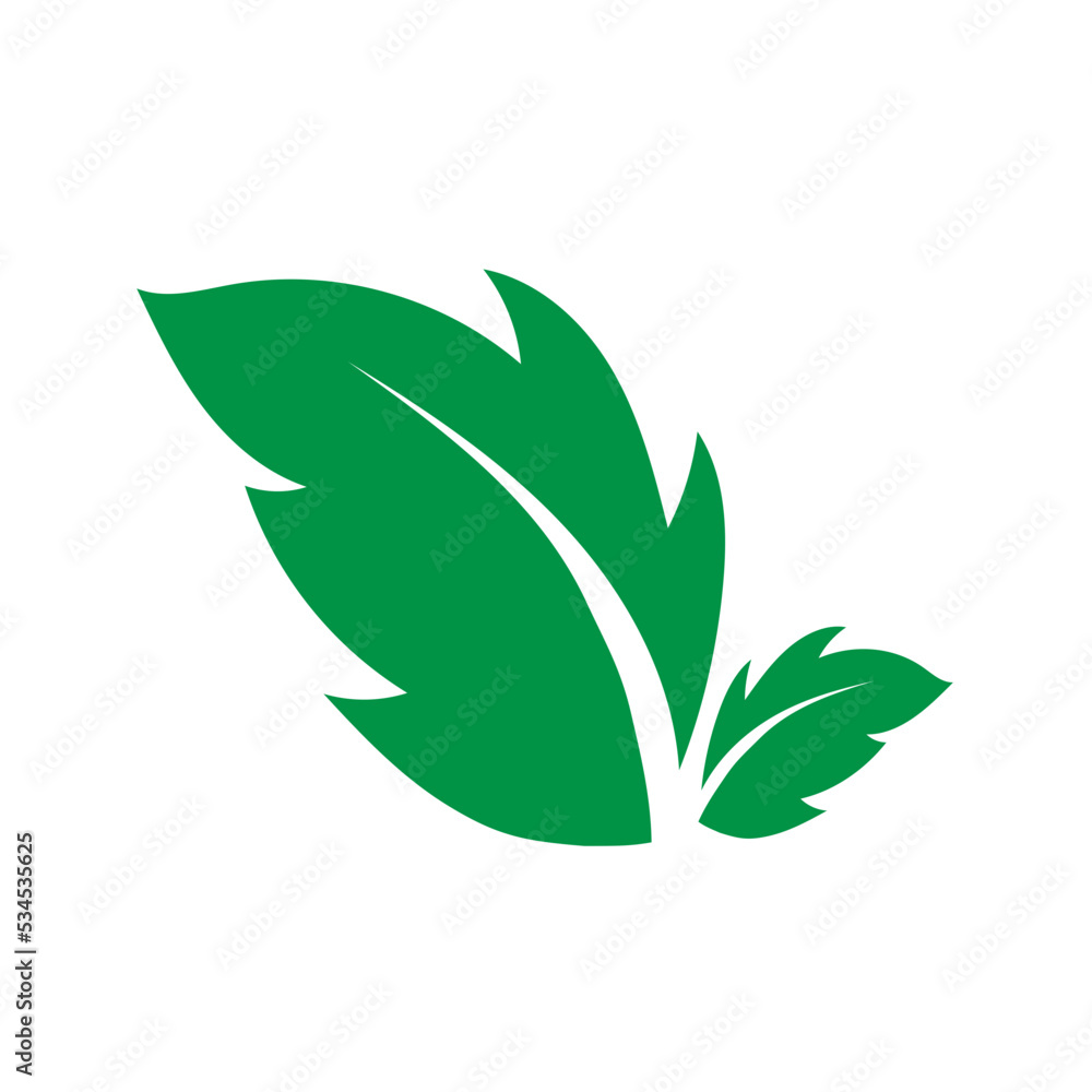 doodle leaf decoration doodle leaf decoration