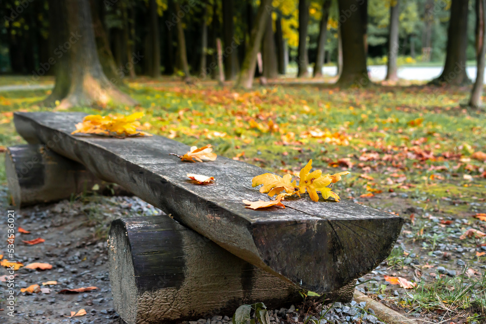 Bench in the park covered with autumn leaves Bench in the park covered with autumn leaves