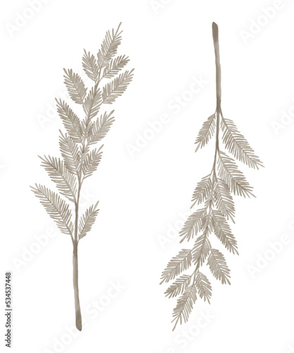 Hand drawn wildflowers, herbs. Decorative vector set in watercolour style for your template.