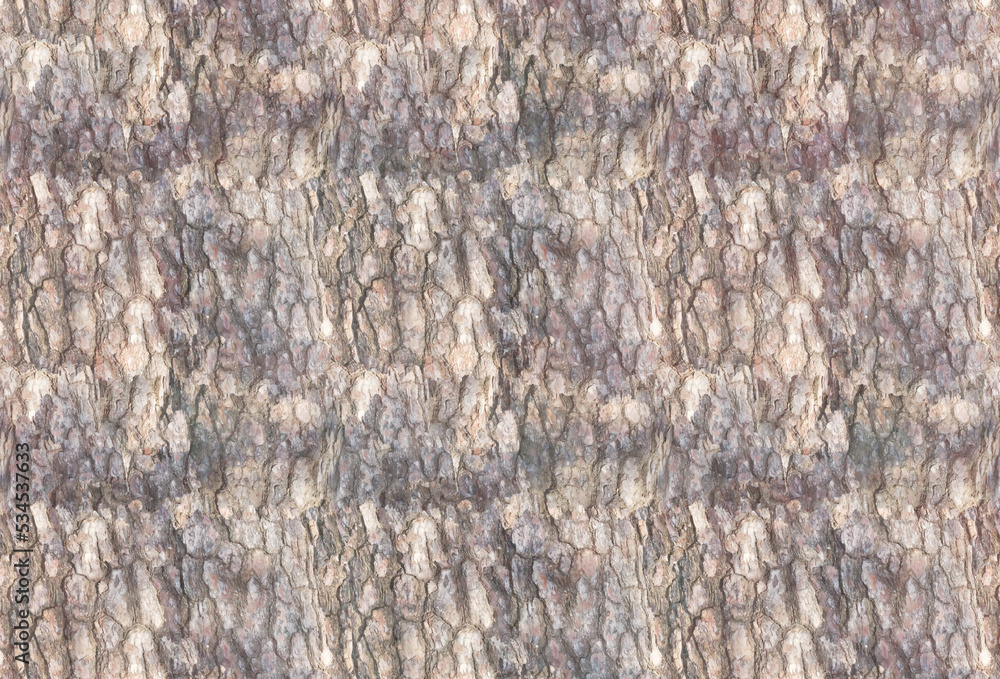 Fototapeta premium 白っぽい木肌のテクスチャー