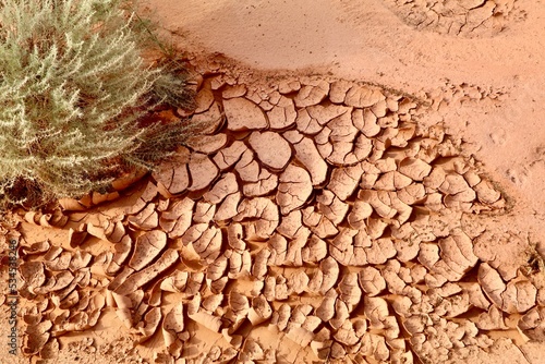 Dry Earth in the Desert