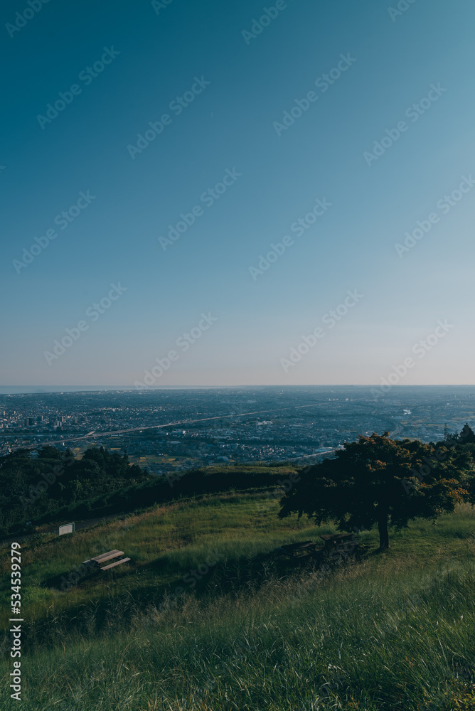 Fototapeta premium A view of my hometown in Japan from the top of a mountain