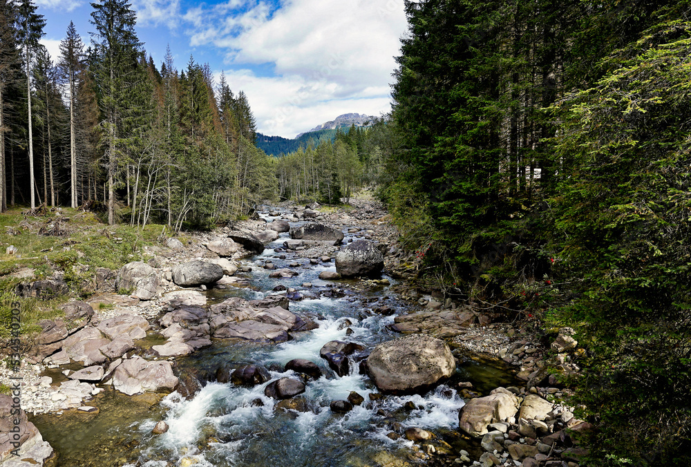 Blick auf einen Flusslauf der durch den Wald ins Tal führt Blick auf einen Flusslauf der durch den Wald ins Tal führt