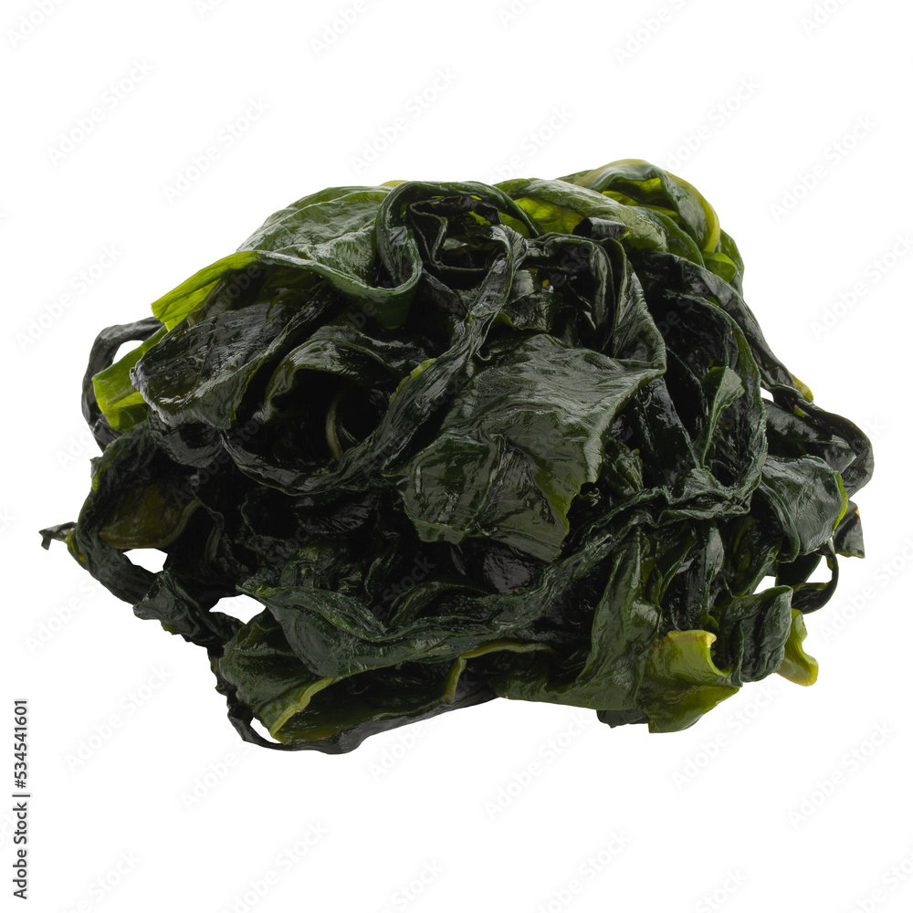 Kombu kelp is a large brown algae seaweed. Binomial name Laminaria