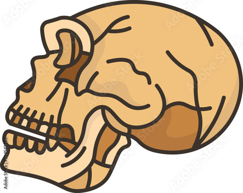 neanderthal icon