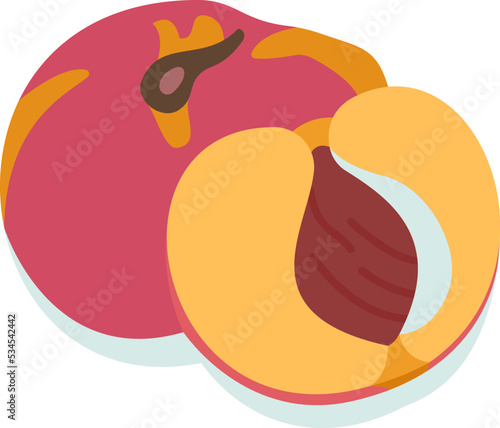 nectarine icon