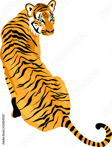 Tiger, leopard, jaguar big cat isolated illustration design