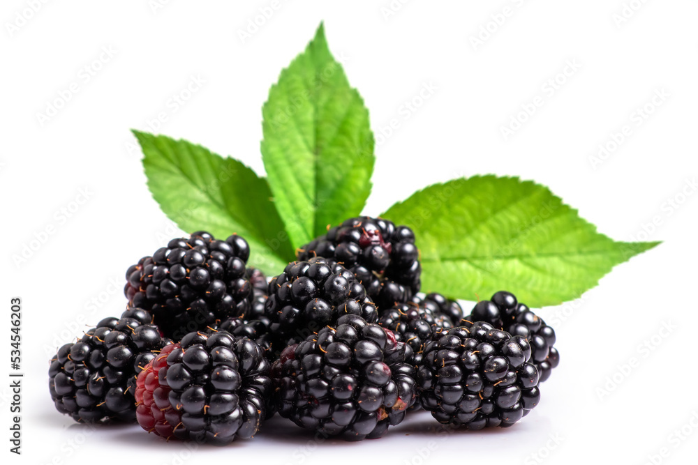 blackberry isolated on white blackberry isolated on white