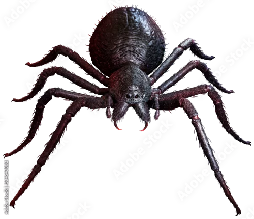 Fototapeta na wymiar Black giant spider 3D illustration