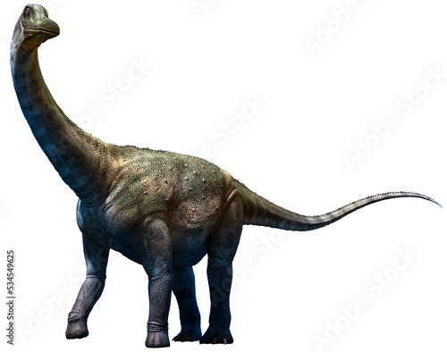 Antarctosaurus from the Cretaceous era 3D illustration  © warpaintcobra