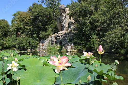 il gigante dell'appennino nel parco mediceo di pratolino