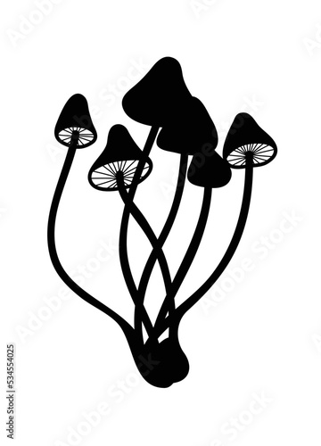 Silhouette of mycelium mushroom. Ingredient for culinary dishes of Japanese and Chinese cuisine. Forest mushrooms in the style of flat contour graphics. Organic product for vegetarians.