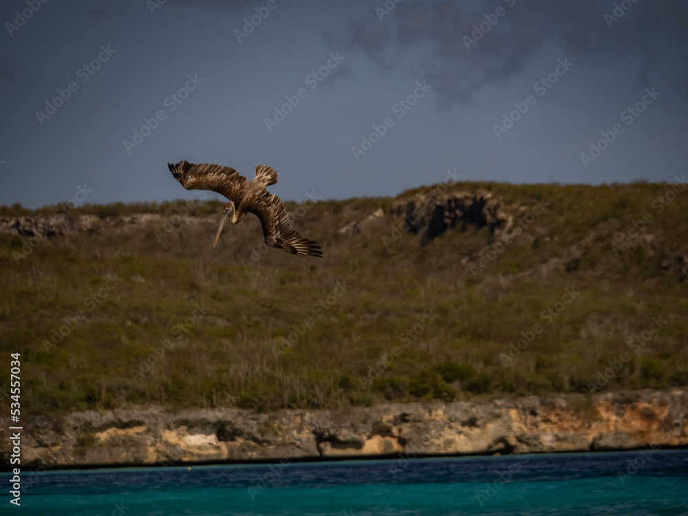 Views around the Caribbean island of Curacao Views around the Caribbean island of Curacao