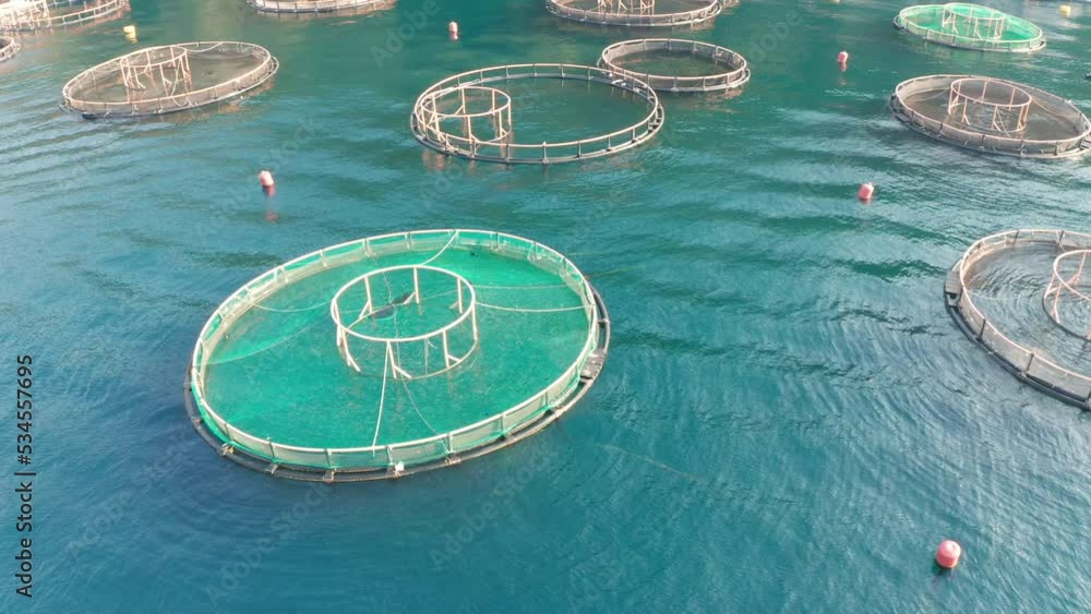 Fish farm (aquaculture) on the sea with mesh cages submerged in water