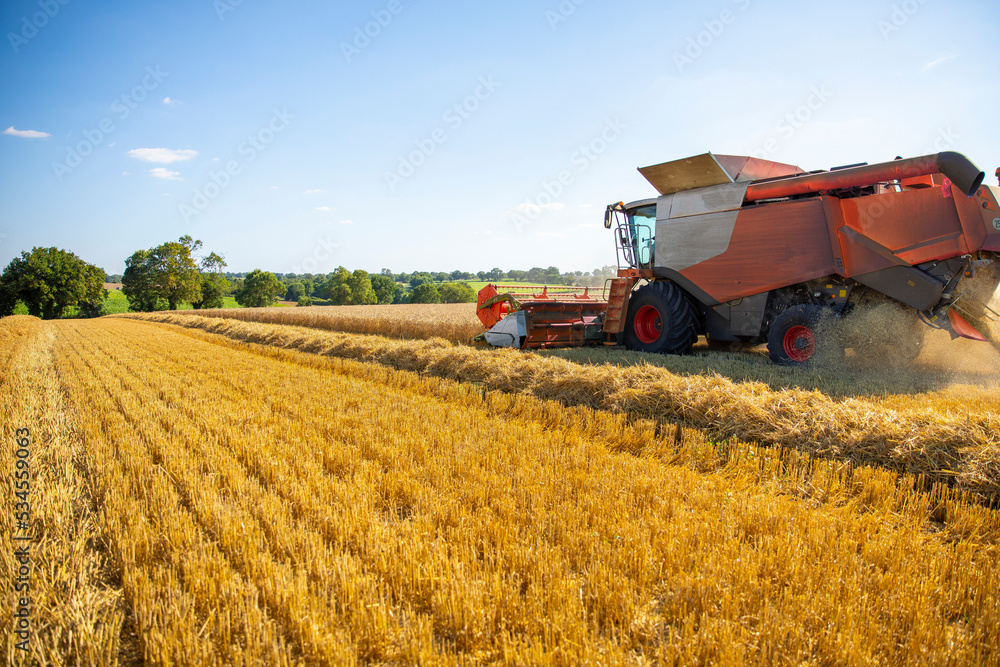 Obraz premium Moissonneuse dans les champs de blé en train de récolter les céréales en été.