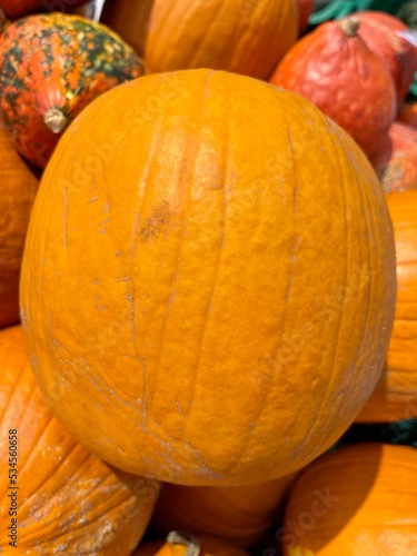 pumpkin on the market