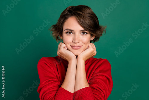 Photo of think brown hair millennial lady hands face wear red sweater isolated on green color background