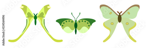 Collection of butterflies on a white background. Isolated cartoon icon set, decorative insect.