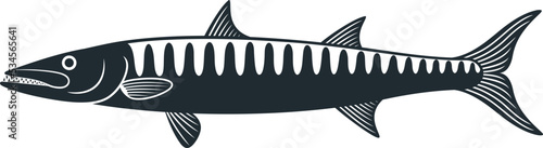 Barracuda logo. Isolated barracuda on white background photo