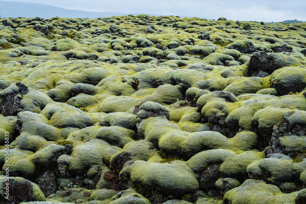 Fototapeta premium Mossy Lava Fields (Iceland)