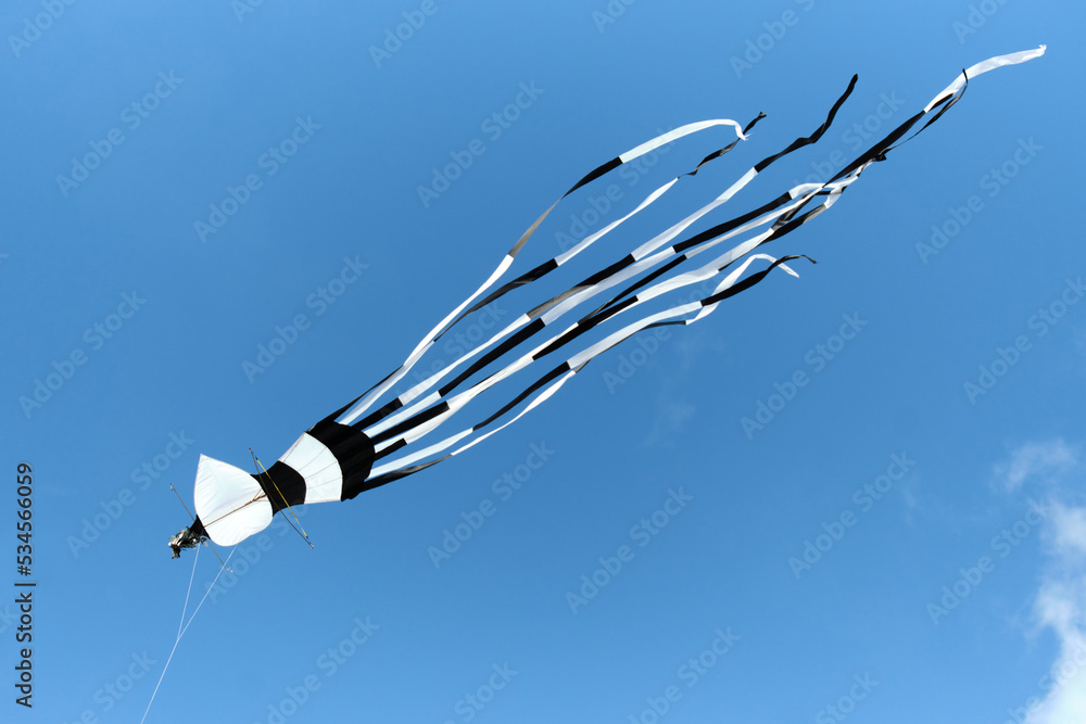 Dieppe, Normandy, France 18 Sep 2022. Large kite fills the sky over Dieppe Beach for the 21st