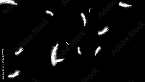 Isolated gently falling white feathers. Abstract animation. Black background. Loop. 25 fps photo