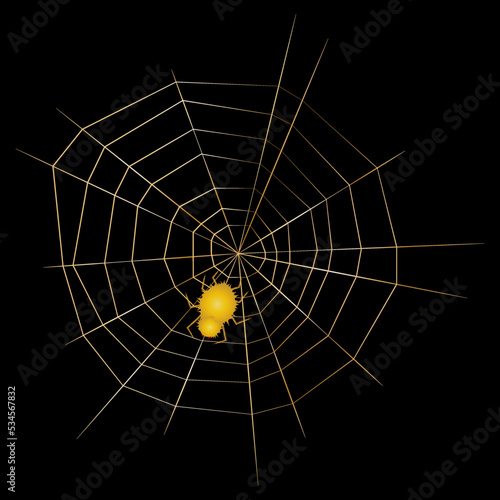 shaggy spider on a web on black by silhouette
