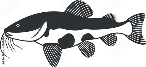 Redtail catfish logo. Isolated redtail catfish on white background