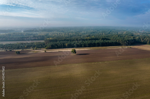 Fototapeta Naklejka Na Ścianę i Meble -  Kolorowe pola uprawne widziane z góry, rolniczy krajobraz polskiej wsi. Wczesna jesień. Jesienne mgły.