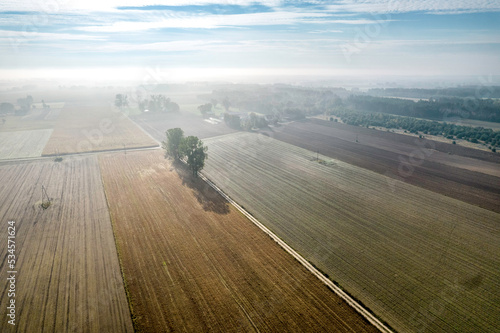 Fototapeta Naklejka Na Ścianę i Meble -  Kolorowe pola uprawne widziane z góry, rolniczy krajobraz polskiej wsi. Wczesna jesień. Jesienne mgły.