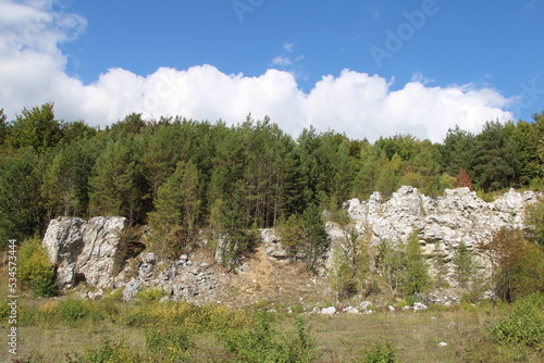 Karst landscape | Close to Bad Sachsa in the southern Harz Mountains | Harzer Grenzweg, Green Belt