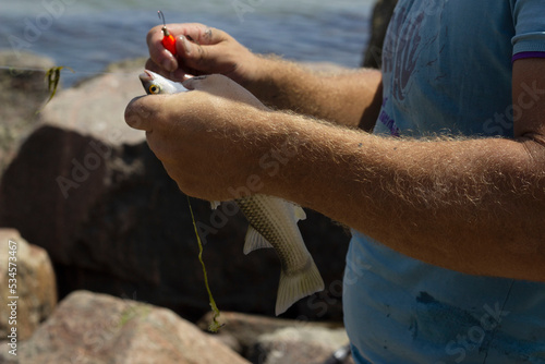 men's hands put the bait on the hook to catch fish with a fishing rod. Recreation, the concept of leisure. photo