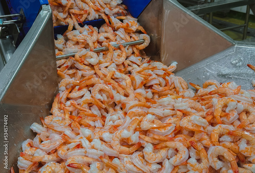Cooked shrimp in the production line, shrimp industry
