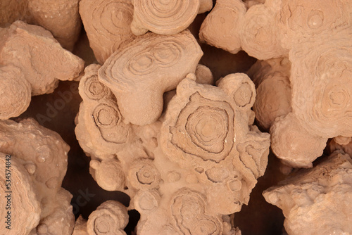 Fossilized stromatolites or stromatoliths, are layered sedimentary formations (microbialite) photo