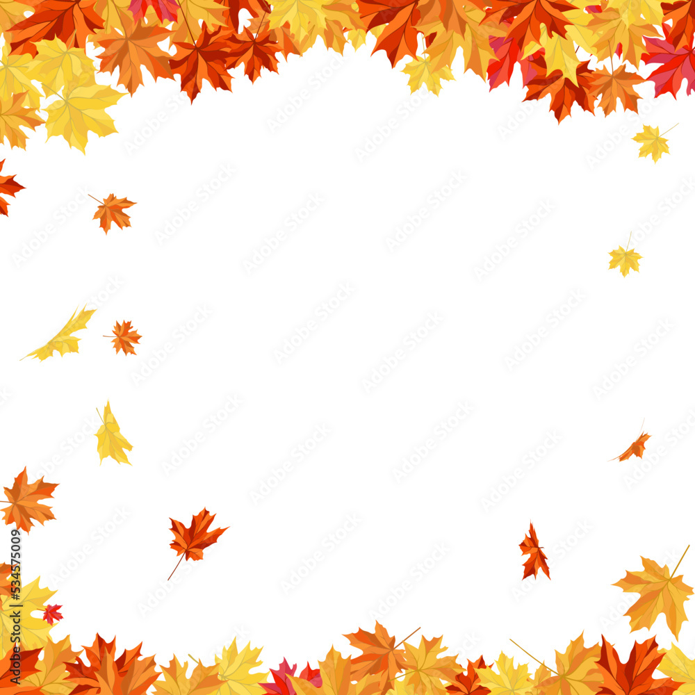 Autumn Maple Frame Autumn Maple Frame