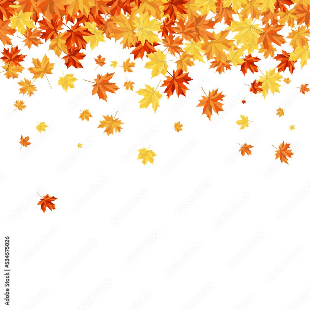 Obraz premium Autumn Maple Frame