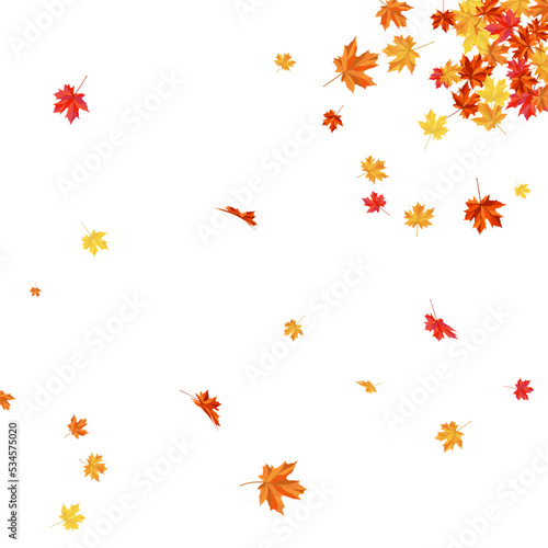 Wallpaper Mural Autumn Maple Frame Torontodigital.ca