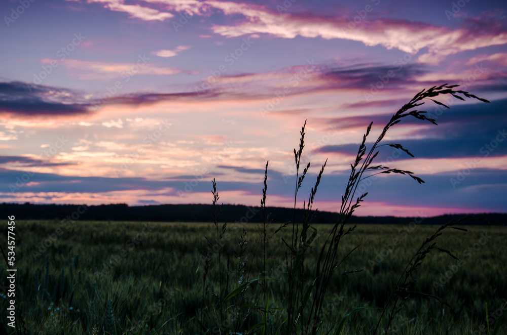 Sunset Sunset