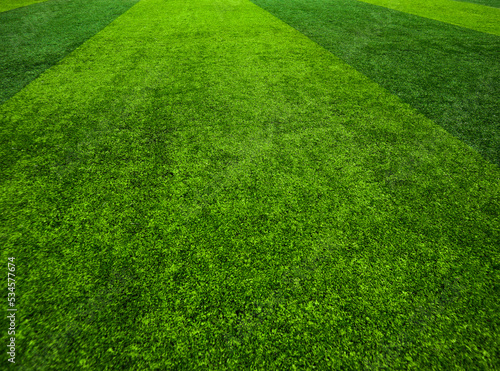 Green grass texture background grass garden concept used for making green background football pitch, Grass Golf, green lawn pattern textured background... © Sittipol 