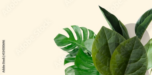 banners set with green tropical leaves on cream background. Exotic botanical design for cosmetics  spa  perfume  beauty salon  travel agency  florist shop. Best as wedding invitation cards