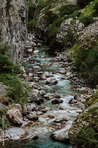 river in the mountains © Bob