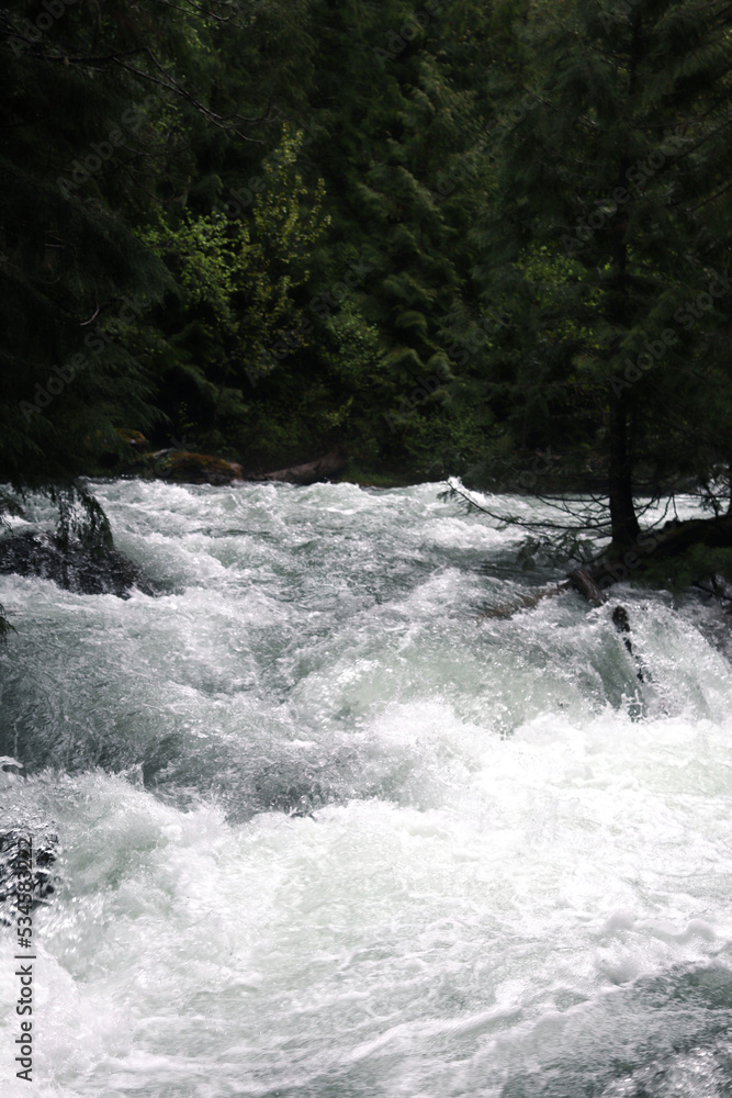 River Rapids River Rapids
