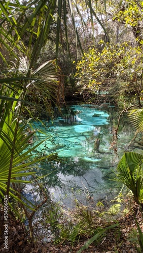 Freshwater Spring