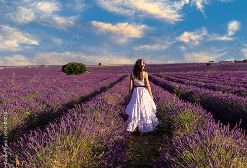 Back view of a woman in a dress enjoying walking in a colorful lavender field.