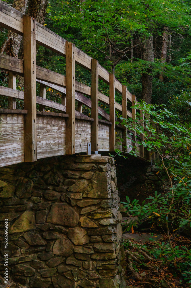 Wooden foot path bridge in the forest