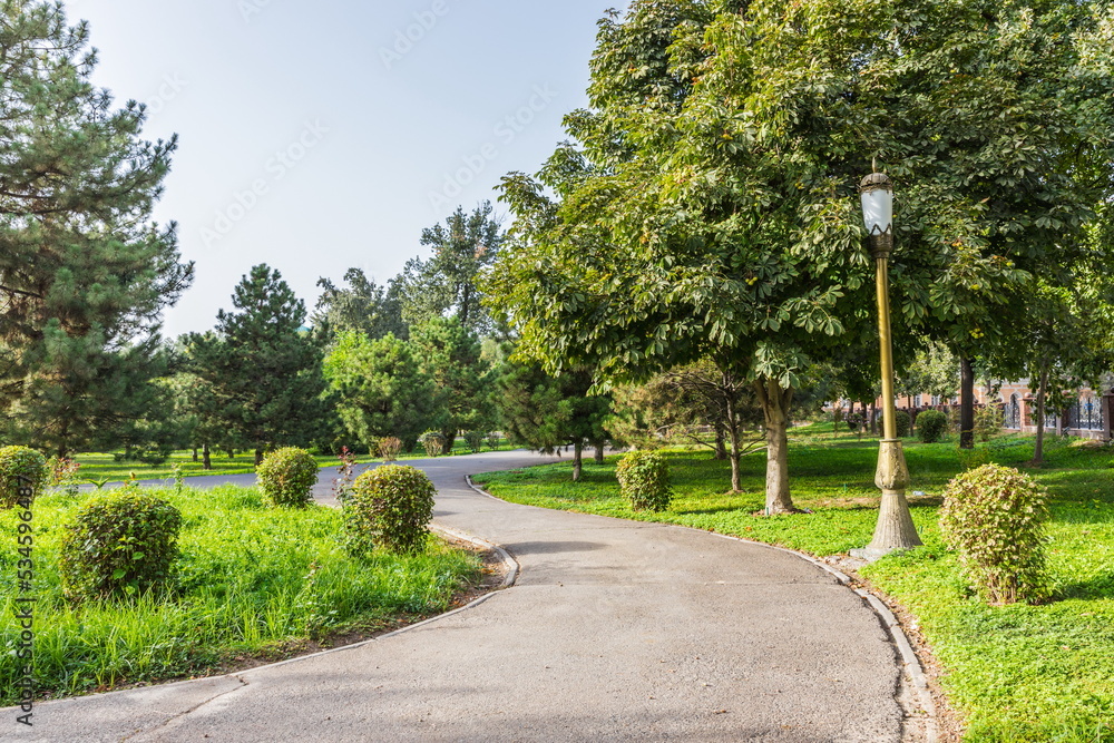 Fototapeta premium vegetation of Amir Temur Square in Tashkent, Uzbekistan