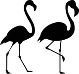 Flamingo silhouette, vector . Flamingo silhouette set in black