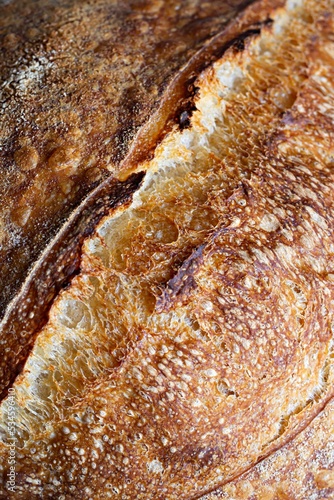 Fresh homemade sourdough bread with whole grain flour. Healthy food, banner.